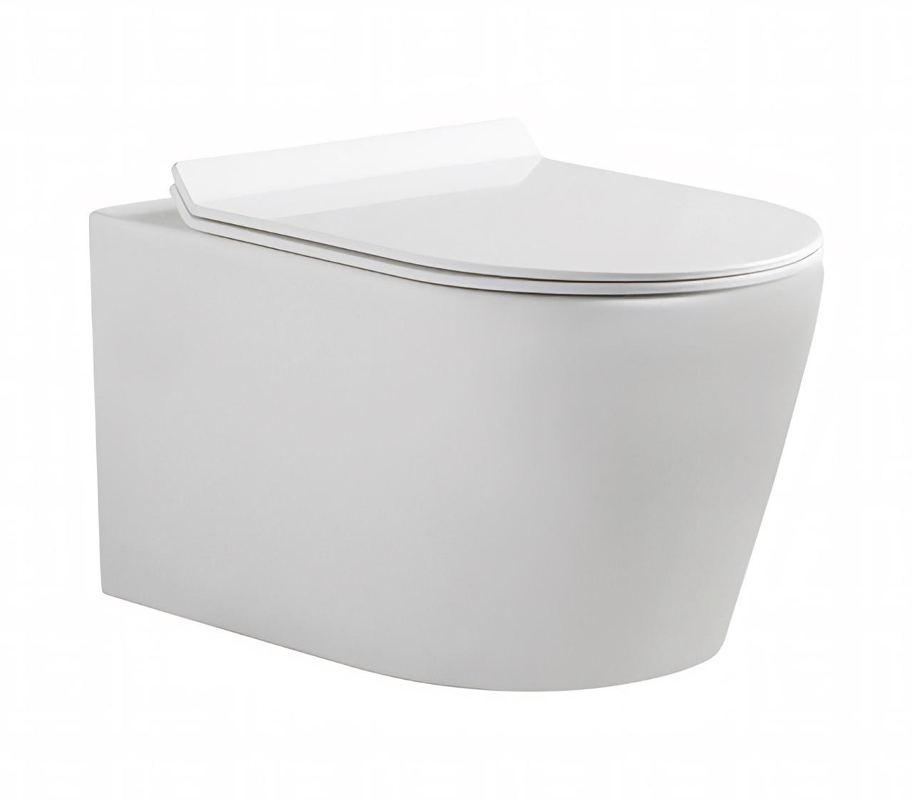 Wall hung toilet  550x360x345 mm