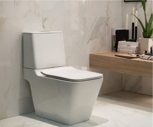 One-Piece vs Two-Piece Toilets: What’s the Difference?